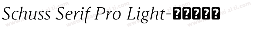 Schuss Serif Pro Light字体转换